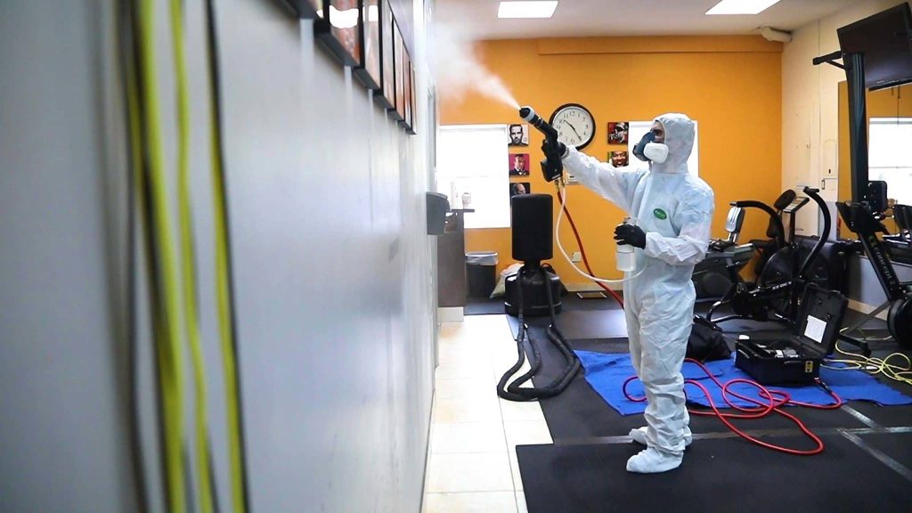 Apakah Rayap Bisa Menyebar Lewat Kabel dan Tembok