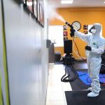 Apakah Rayap Bisa Menyebar Lewat Kabel dan Tembok