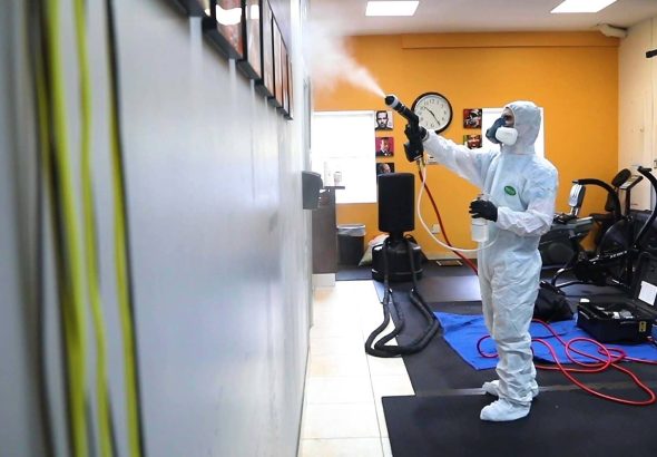 Apakah Rayap Bisa Menyebar Lewat Kabel dan Tembok